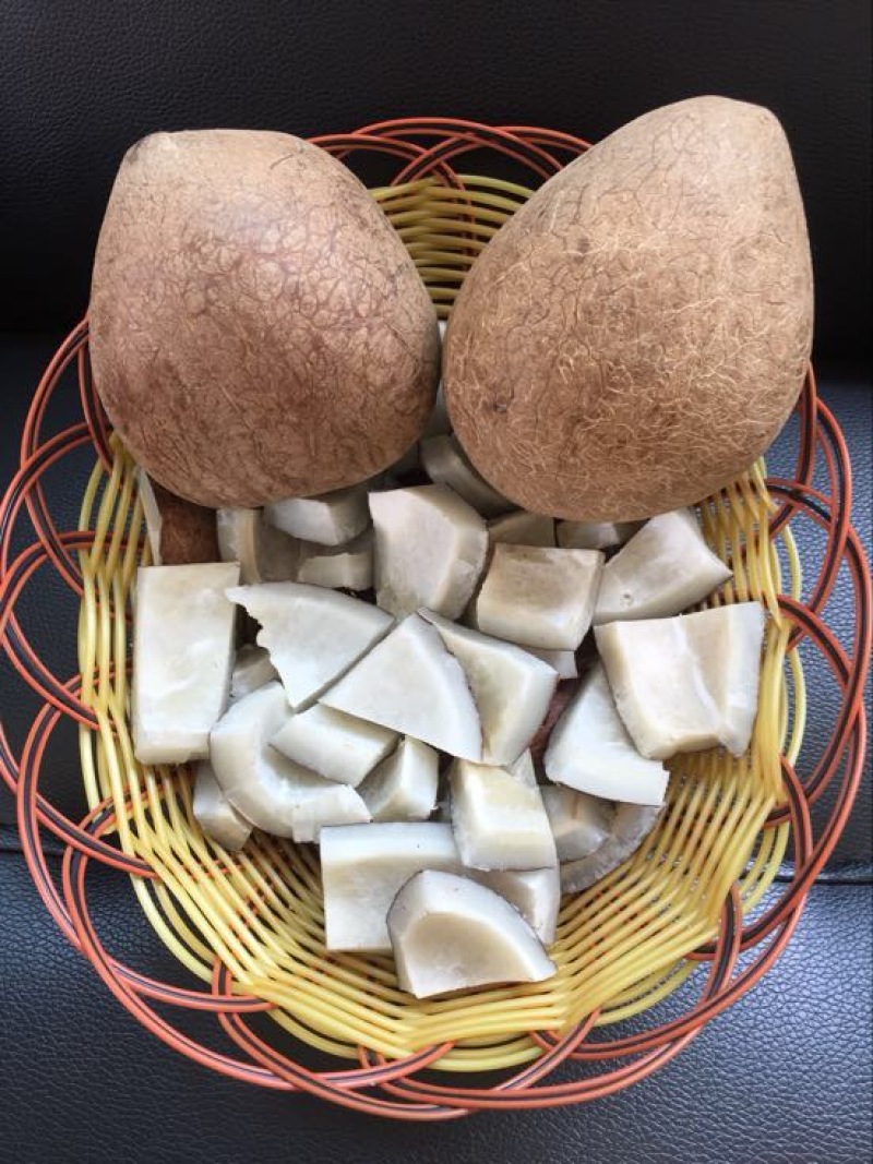 椰子