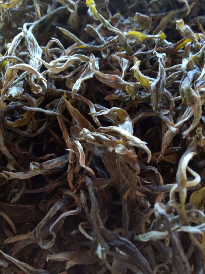 普洱绿茶