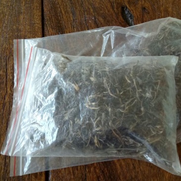 普洱绿茶