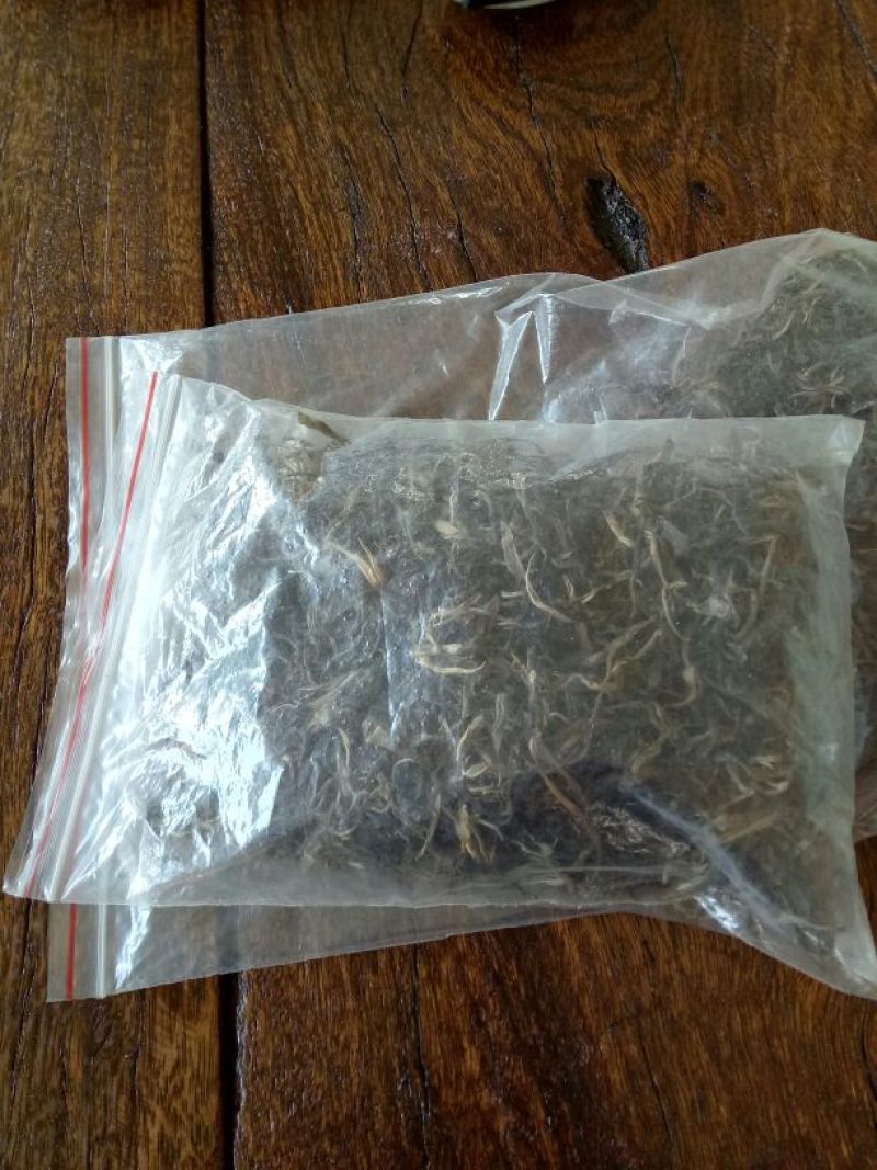 普洱绿茶
