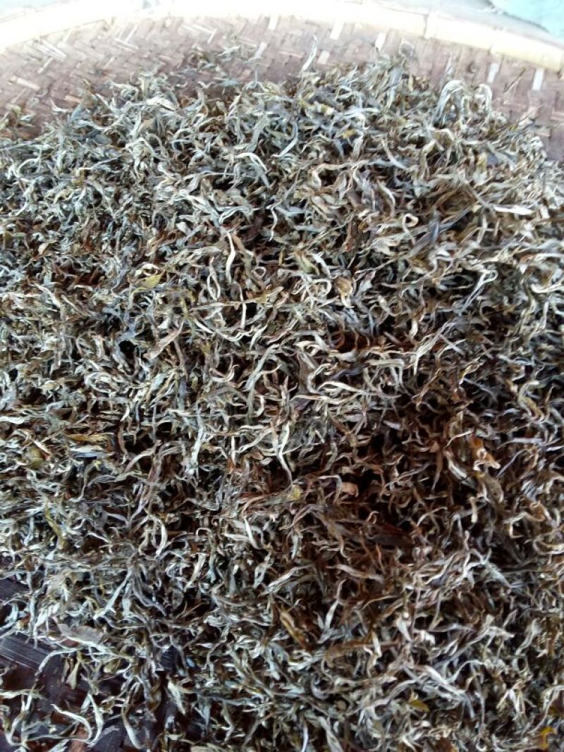普洱绿茶