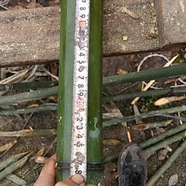 竹筒