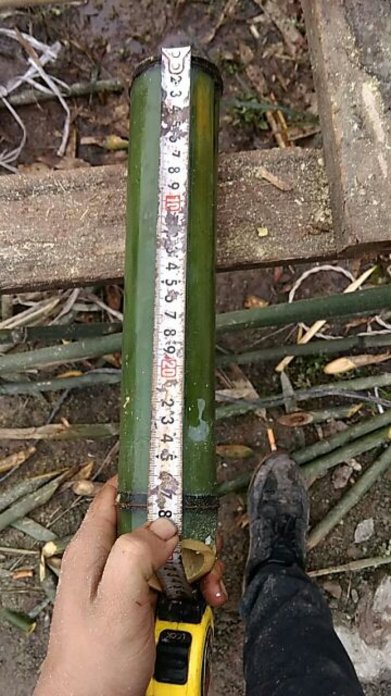 竹筒