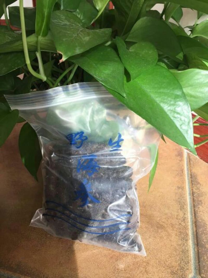 海参食用即食
