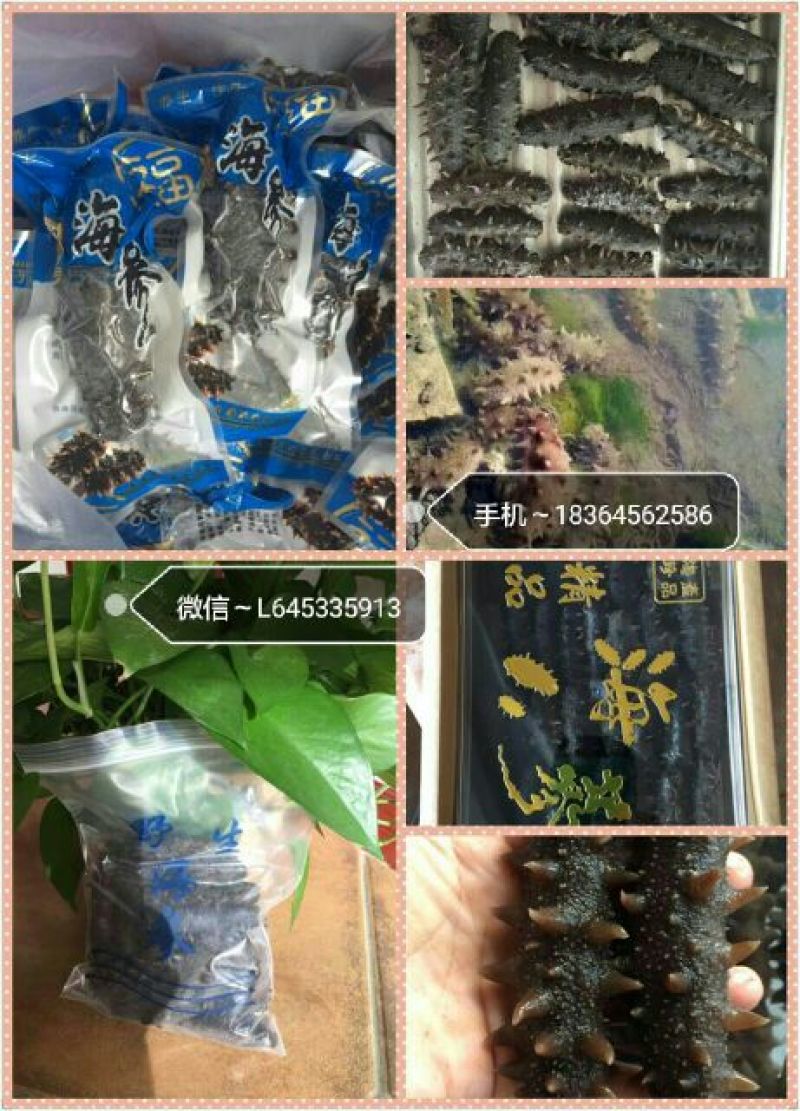 海参食用即食
