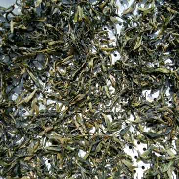 百年大树茶一级
