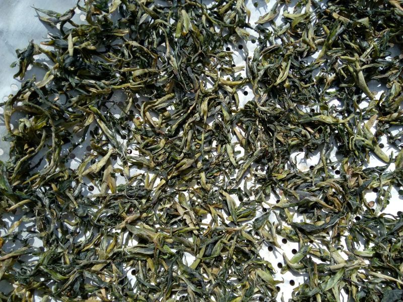 百年大树茶一级