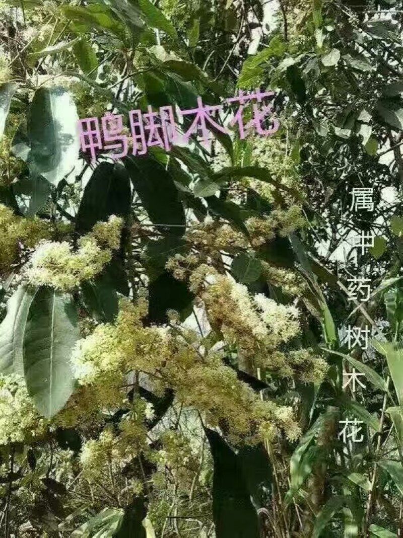 百花蜜2斤