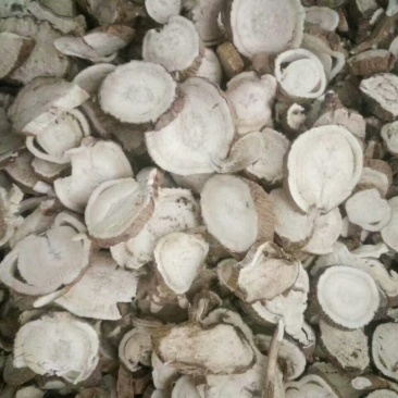 河南苦参统货，一手货源货量充足，视频看货对接全国