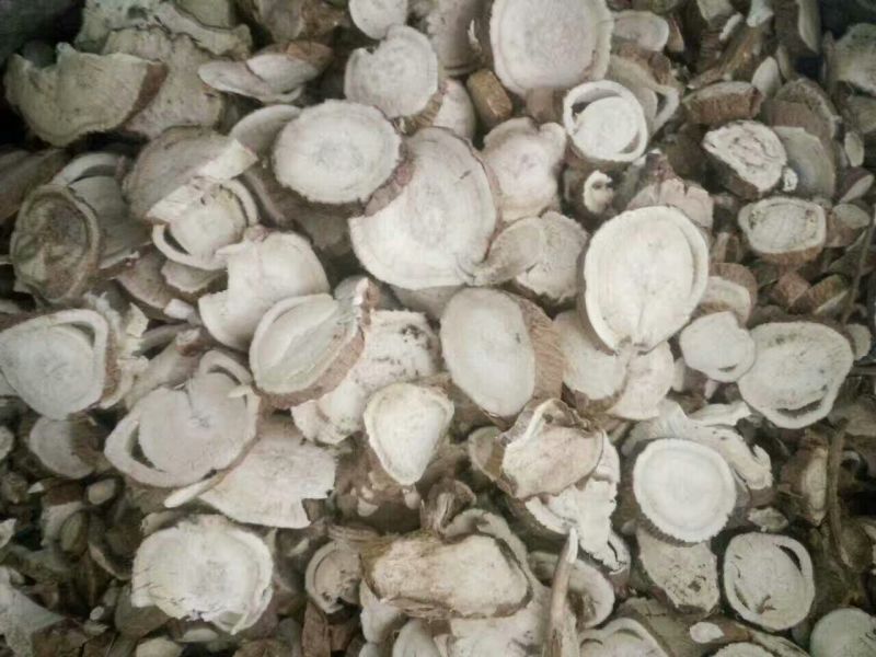 河南苦参统货，一手货源货量充足，视频看货对接全国