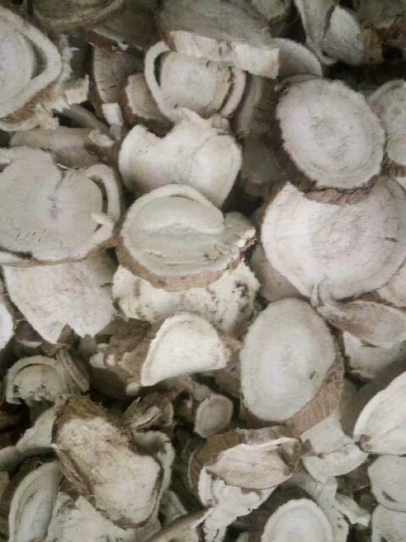 河南苦参统货，一手货源货量充足，视频看货对接全国