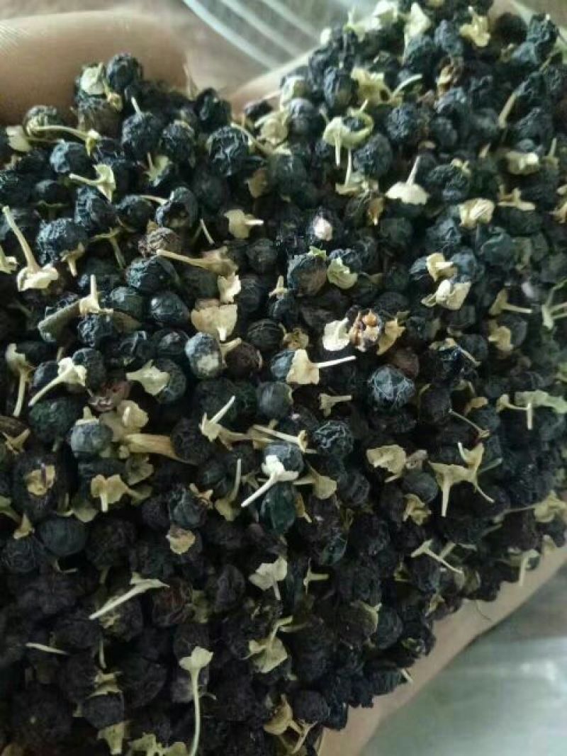 黑枸杞头茬干货等级黑枸杞精品黑枸杞
