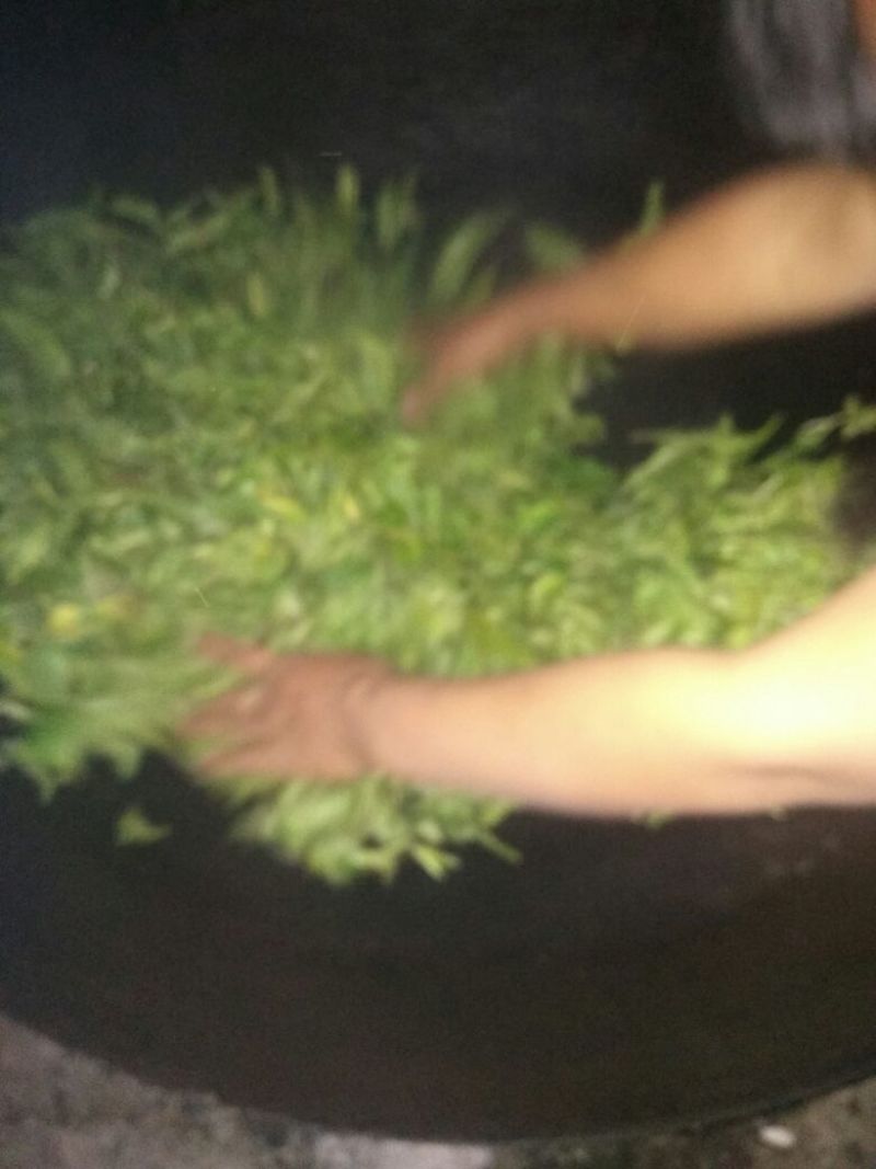 普洱茶