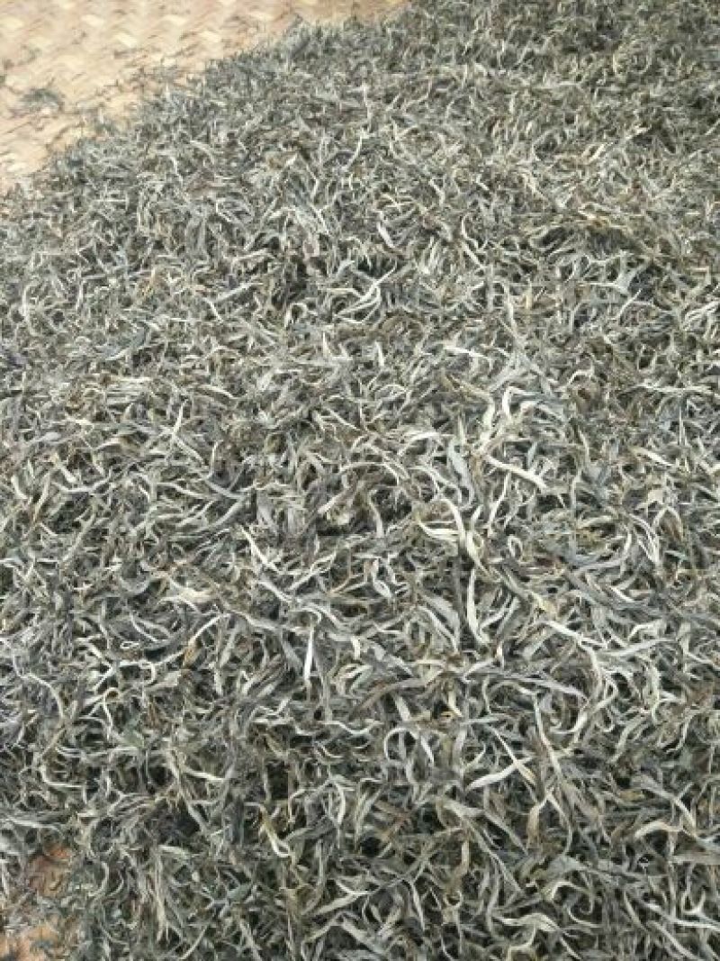 普洱茶