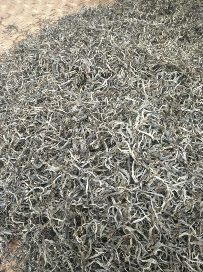 普洱茶
