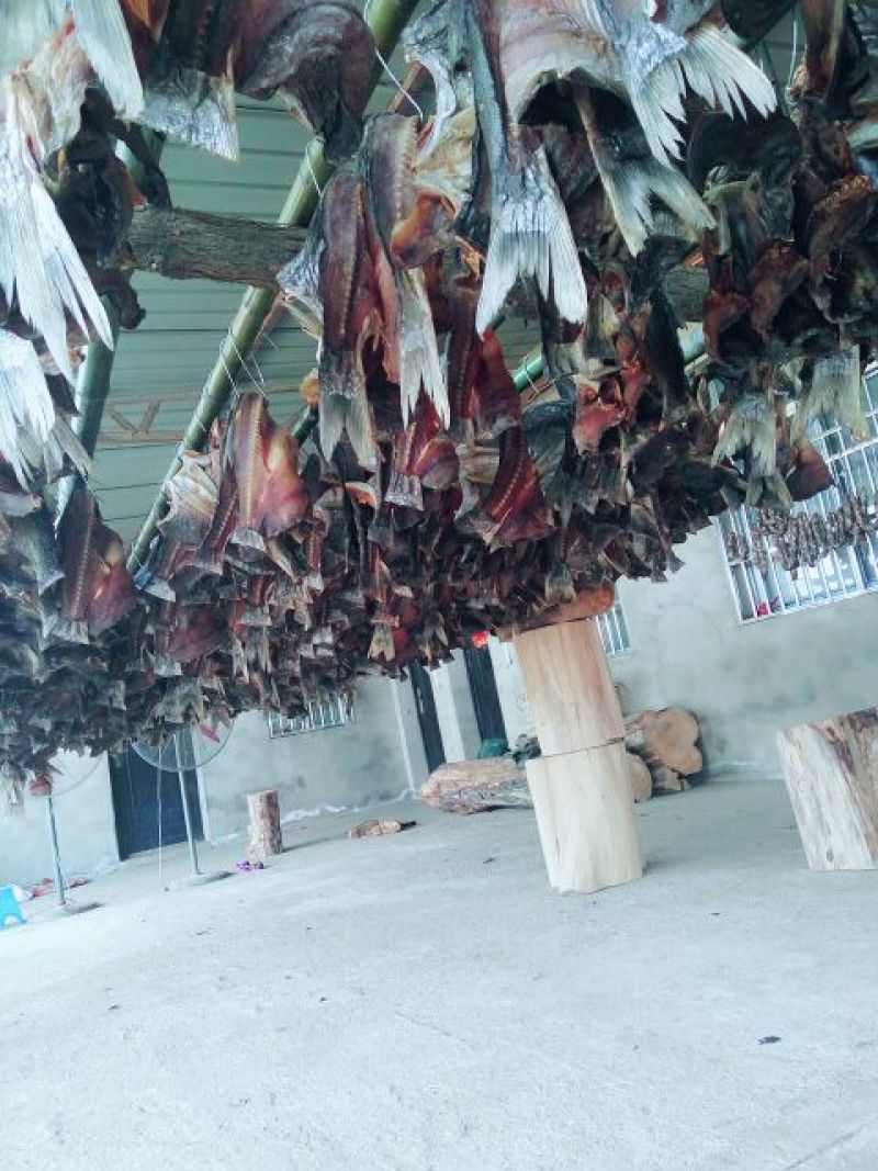 鱼干腌制鱼干