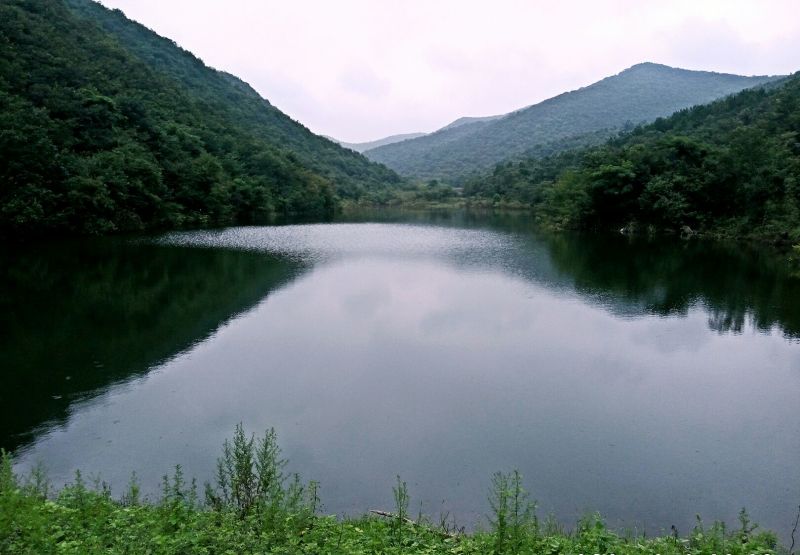 鱼干腌制鱼干