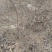 山楂苗80cm以上