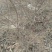 山楂苗80cm以上