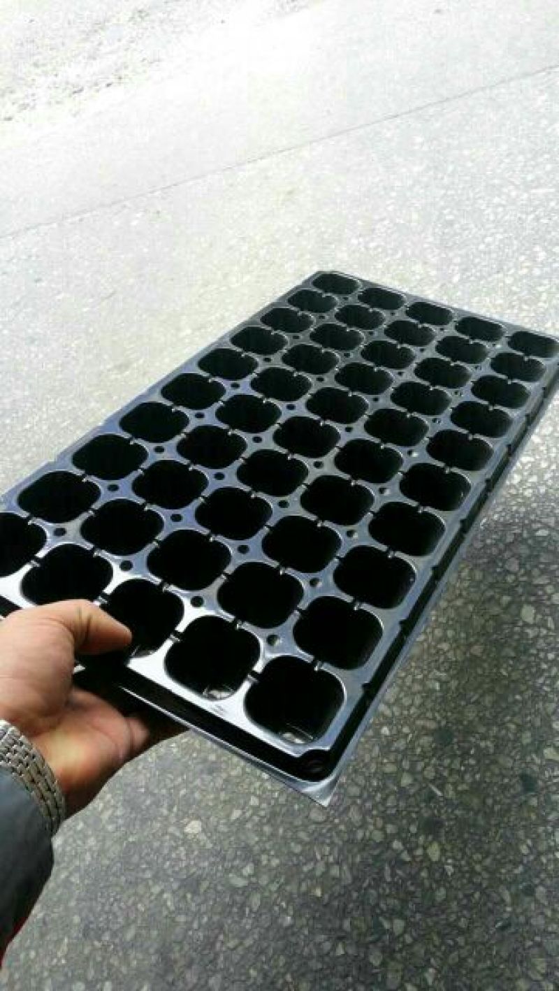穴盘