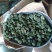 三七花选货绿花一斤起包邮量大从优