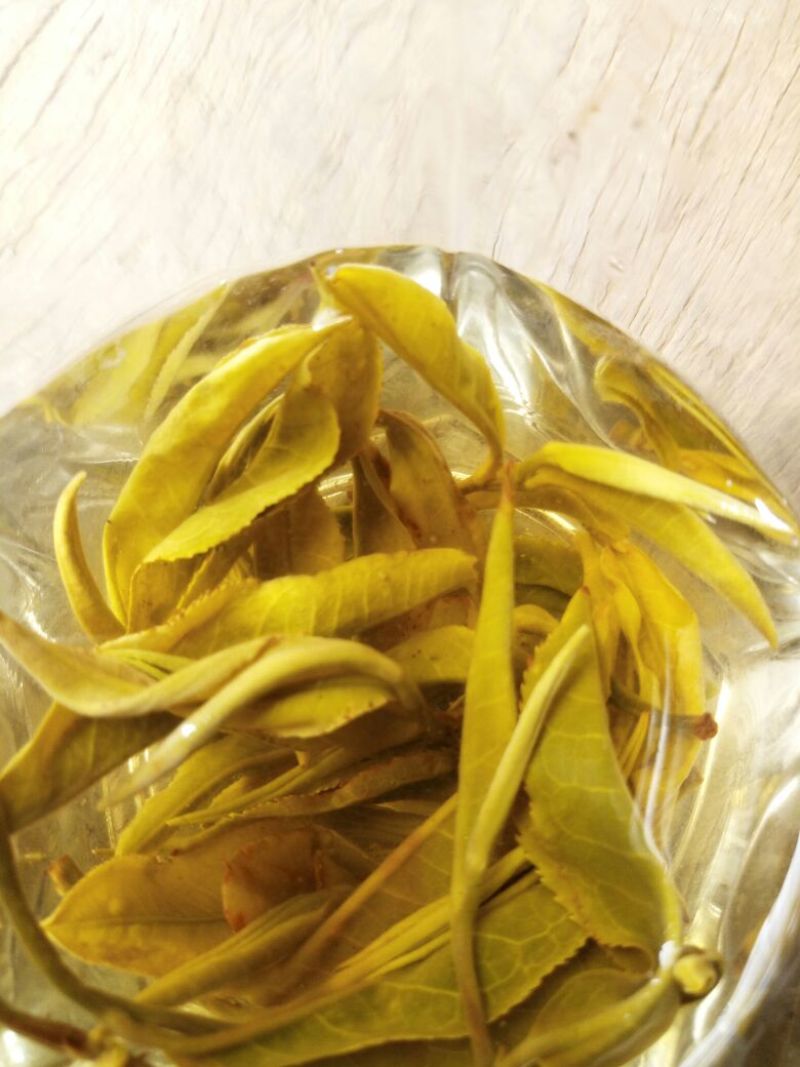 百年大树茶一级