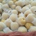 砀山梨300~350g光果