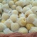 砀山梨300~350g光果