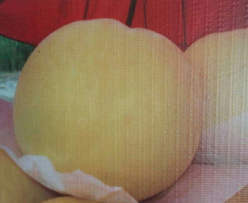桃树苗80cm以上