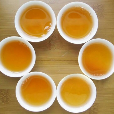 普洱茶