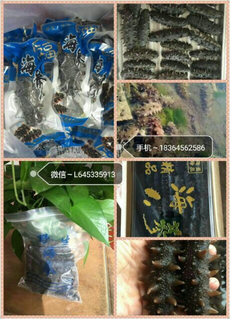 海参食用即食