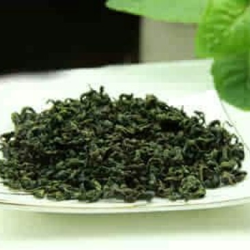 刺五加茶末茶