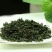 刺五加茶末茶