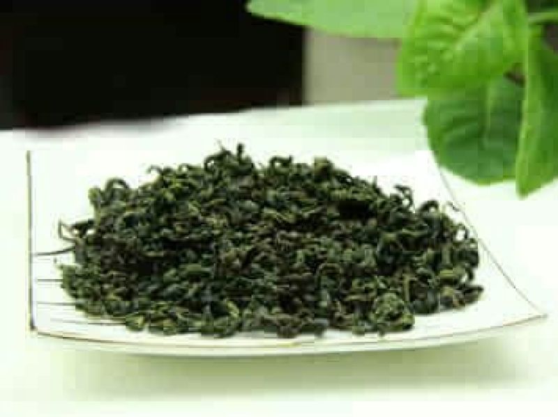 刺五加茶末茶