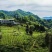 川茶三级
