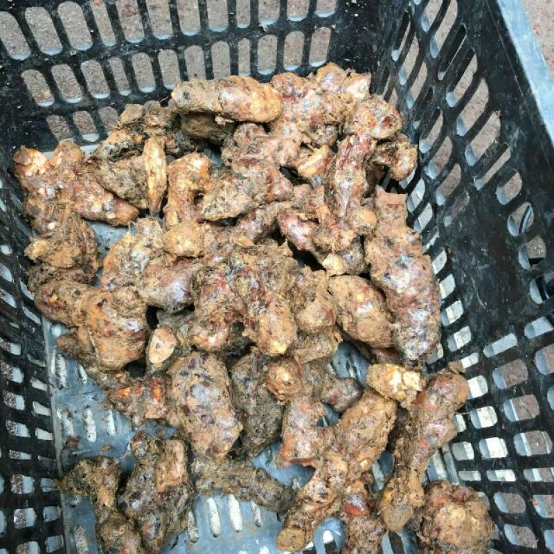 土茯苓本地中土，一两至三两。粉质白肉