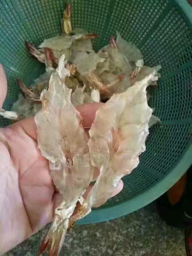 干虾