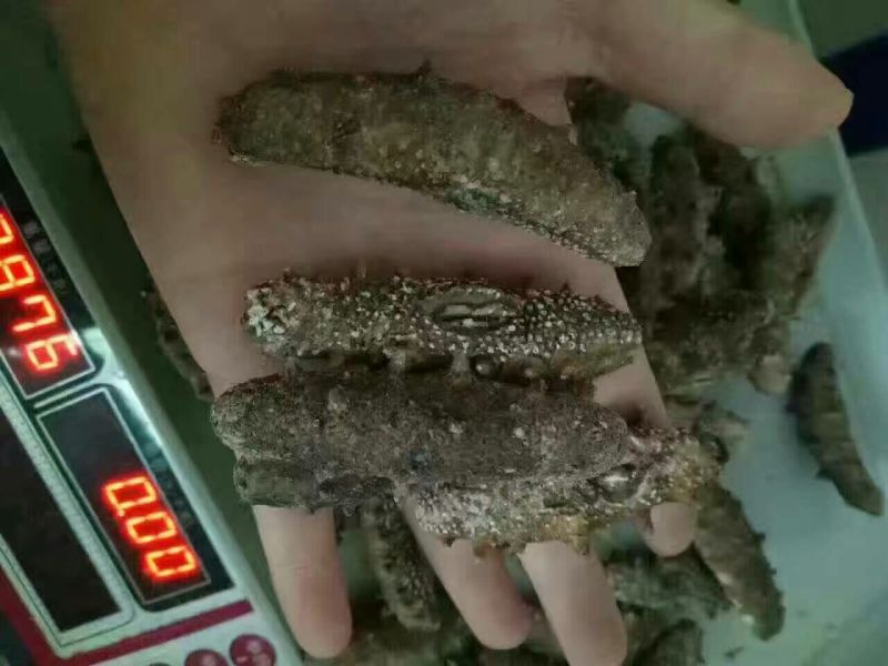 干虾