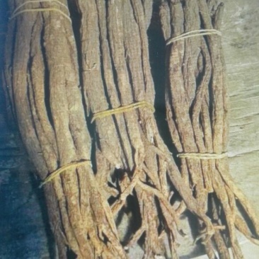 当归干货，鲜货，