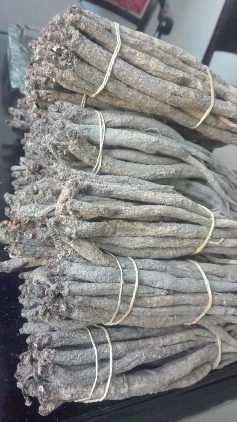 当归干货，鲜货，