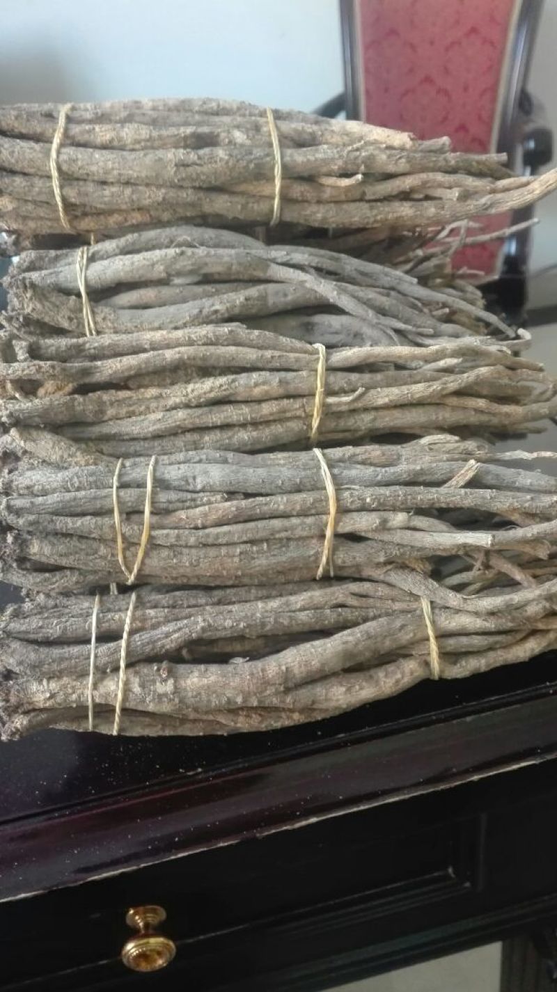 当归干货，鲜货，