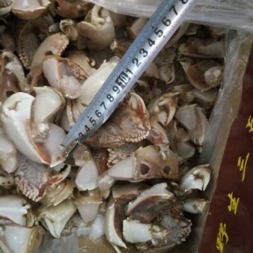 帝王蟹腿