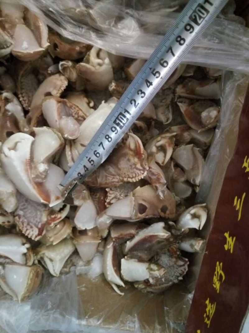 帝王蟹腿