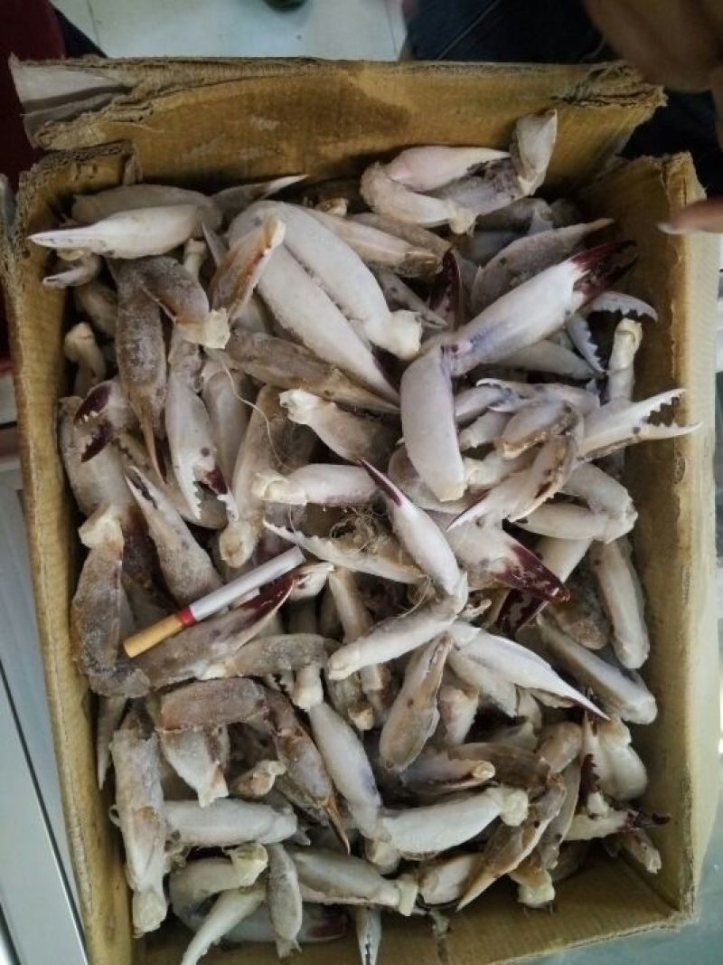 帝王蟹腿