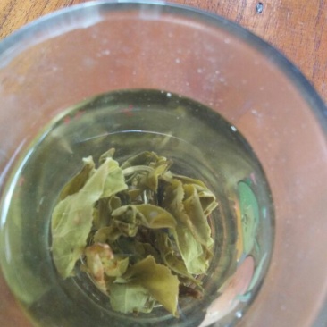 古树普洱茶一级