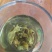 古树普洱茶一级