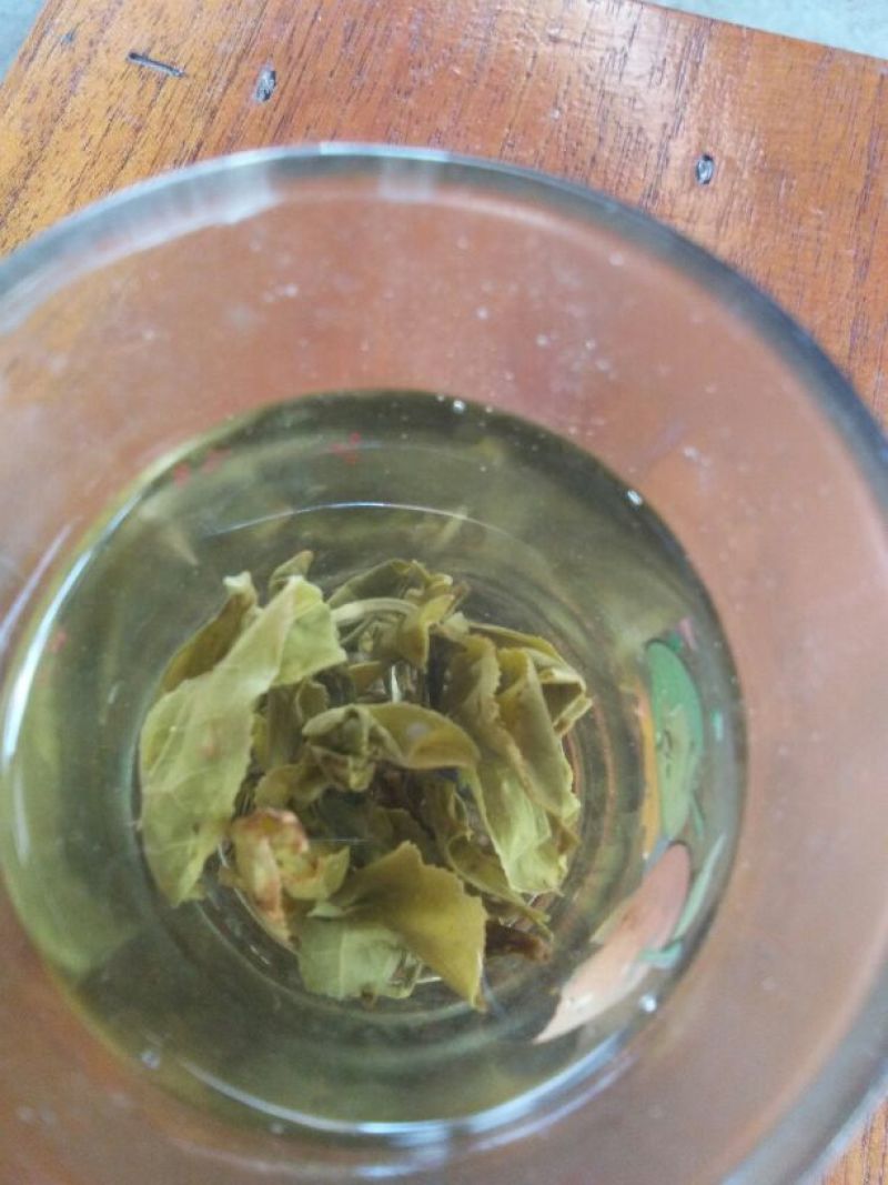 古树普洱茶一级