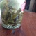 古树普洱茶一级