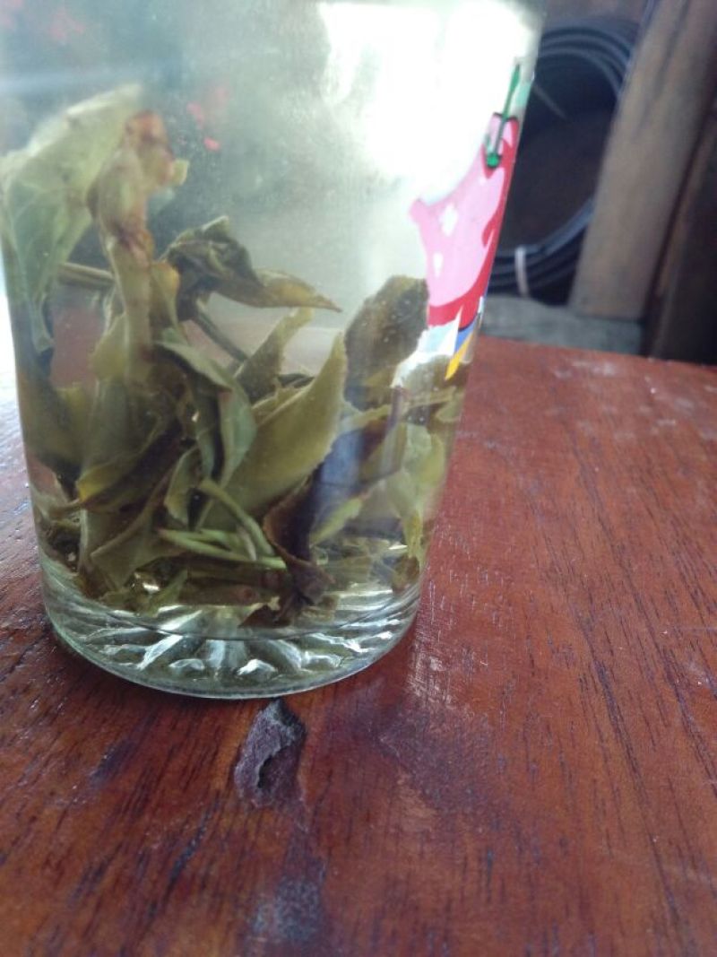 古树普洱茶一级