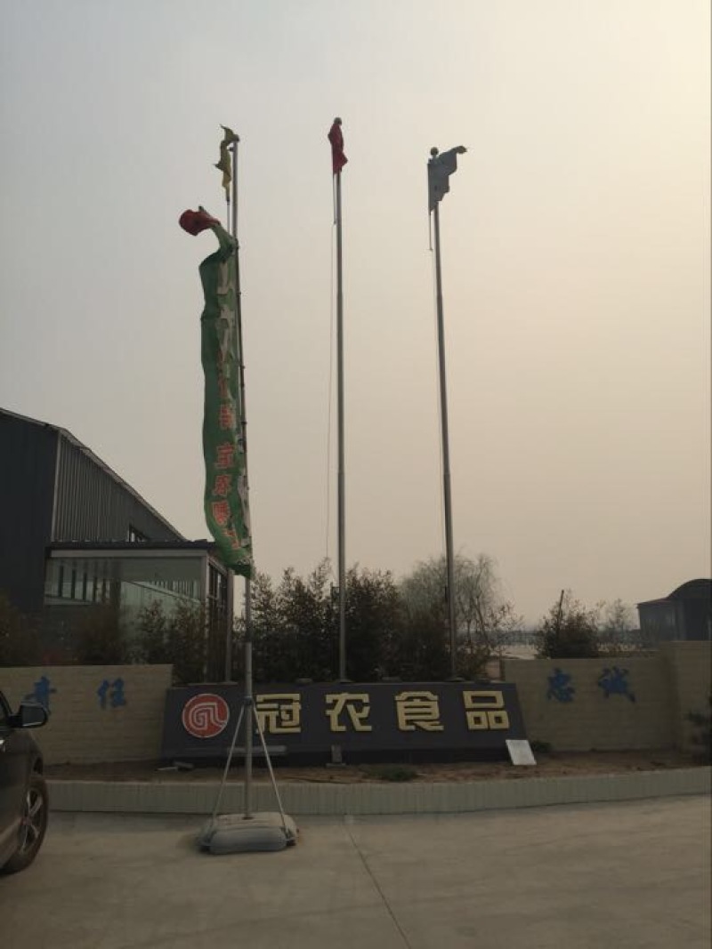 红薯淀粉